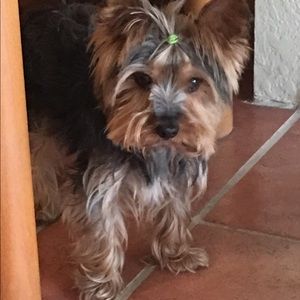 Meet your Posher, Sharon